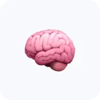 brain image